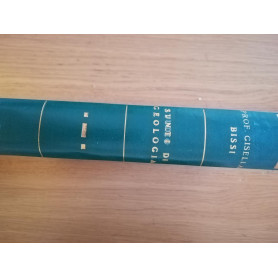 Sunti di Geologia