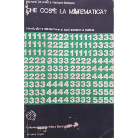 Che cos'è la matematica?