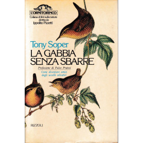 La gabbia senza sbarre
