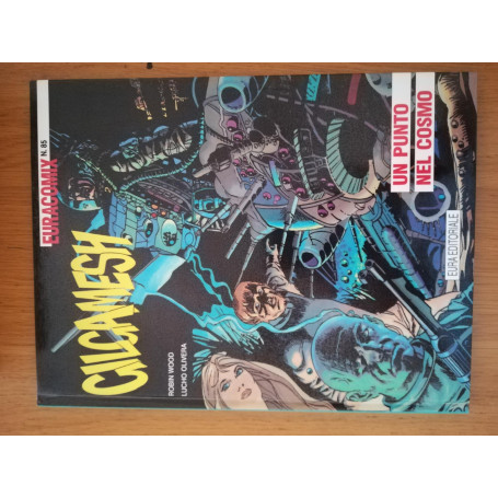 GILGAMESH: un punto nel cosmo