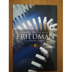 I grandi della scienza: Friedman