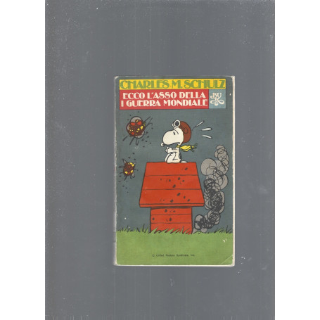 ECCO L'ASSO DELLA I GUERRA MONDIALE