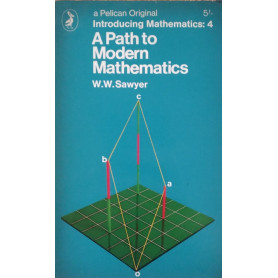 Introducing Mathematics: 4 . A Path to Modern Mathematics