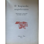 Il bugiardo napoletano. Cronache e ricordi di Loise De Rosa