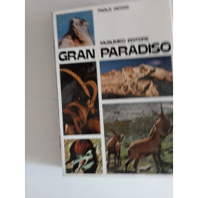 Gran Paradiso