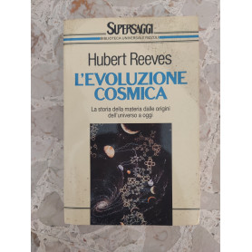 L'evoluzione cosmica: la storia della materia delle origini dell'universo a oggi