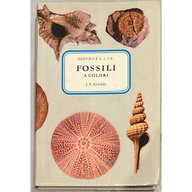 Fossili a colori
