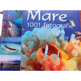 Mare