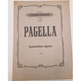 Cantintibus organis (op.53)