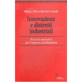 Innovazione e distretti industriali. Percorsi innovativi per l'impresa manifatturiera