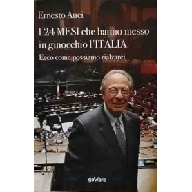 I 24 mesi che hanno messo in ginocchio l'Italia. Ecco come possiamo rialzarci