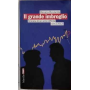 Il grande imbroglio. Cronaca di un anno difficile (2011-2012)