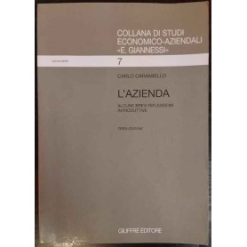 L'azienda. Alcune brevi riflessioni introduttive.