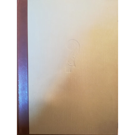 Liuteria italiana dell'ottocento e del novecento