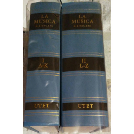 LA MUSICA DIZIONARIO